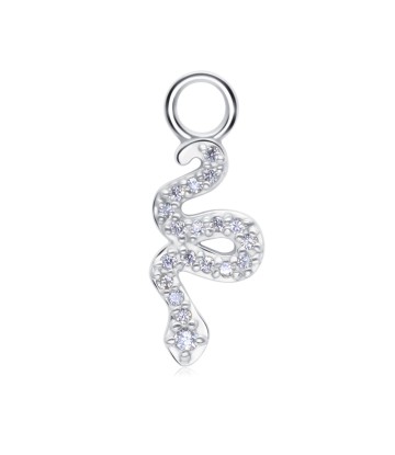 Charmed Snake Silver Charms CH-352